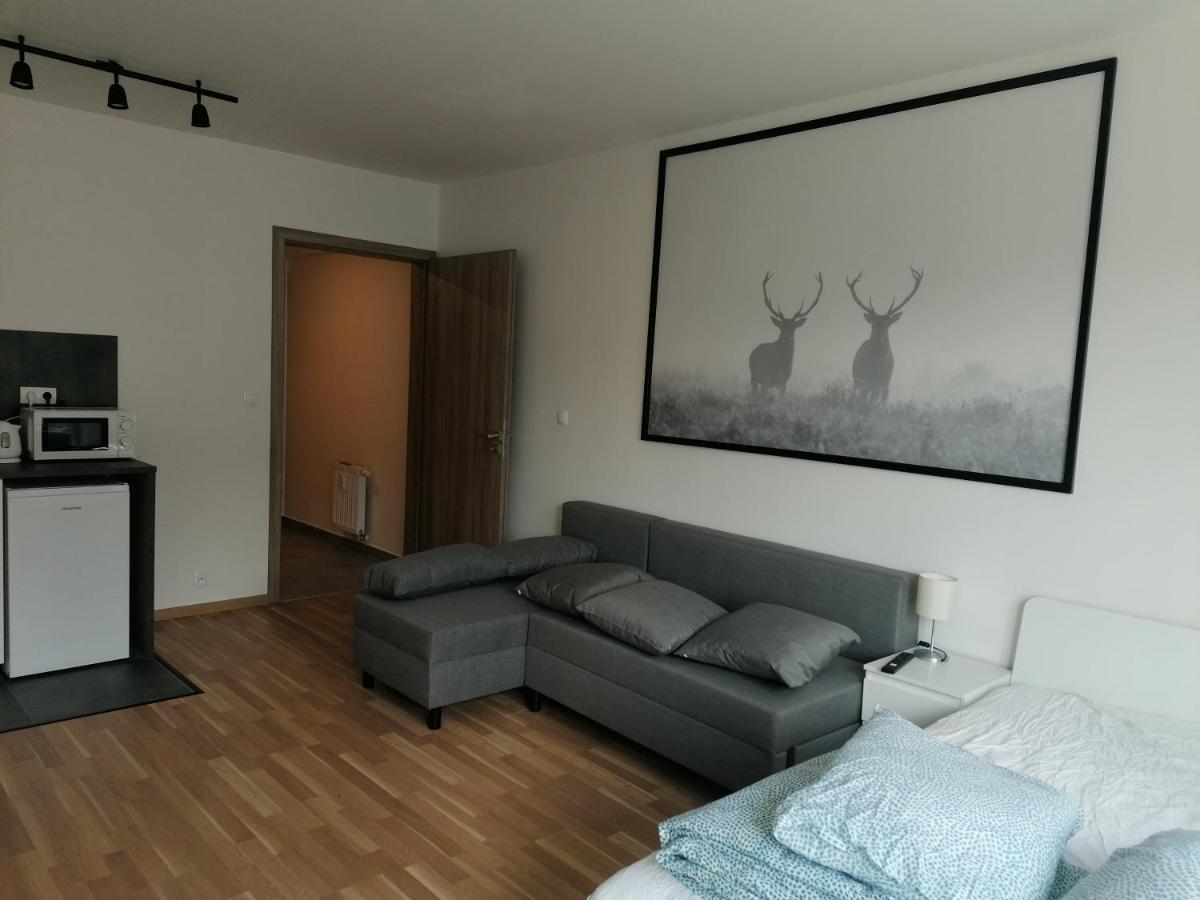 Brand New Studio Apartment #21 With Free Secure Parking In The Center Praga Zewnętrze zdjęcie
